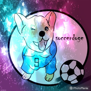 Telegram group profile photo for SOCCERDOGE | LAUNCH NOV 19