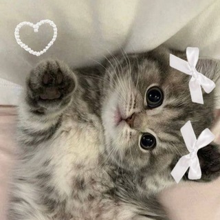 Telegram profile photo for лайф