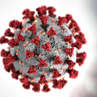 Telegram profile photo for StopCoronavirus. День Первый