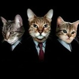 Telegram profile photo for рест; тайлер дерден кінні(гейтери соукоків)