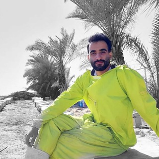 Telegram profile photo for آموزش زنبورداری نوین🍯🐝