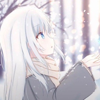 Telegram profile photo for 北极星主频道
