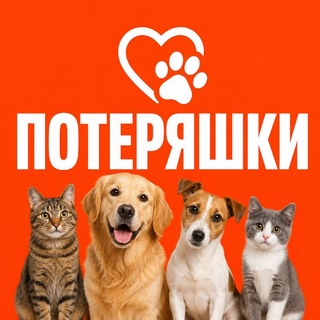 Telegram group profile photo for Потеряшки Нагаево