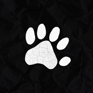 Telegram profile photo for Enot Media