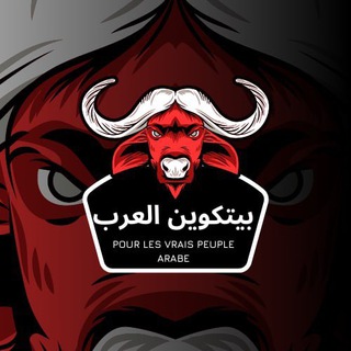 Telegram profile photo for قناة بيتكوين العرب 🇩🇿🇩🇿
