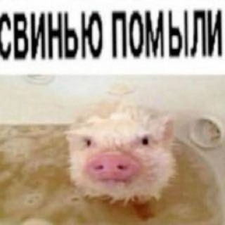 Telegram profile photo for : : ﹫ ℋ𝗈𝗉𝗂𝗄 𝗂𝗇𝖿𝗈 ୨ ৎ . °
