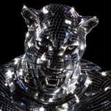 Telegram profile photo for 067
