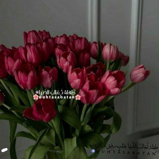 Telegram profile photo for طِفلة تُغالبُ الدُّنيا|🥀🌸