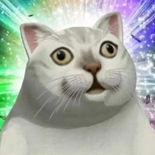 Telegram profile photo for Вояж🫡✨Ґа́нок на світанку