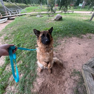Telegram profile photo for Продаю