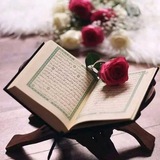 Telegram profile photo for بلغوا عني ولو آية