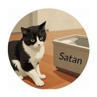 Telegram profile photo for MrBeast's Cat - SATAN