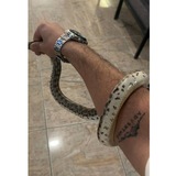 Telegram profile photo for نبذه تليكرام بايو انستا
