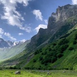 Telegram profile photo for Tomchi yangiliklari