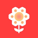 Telegram profile photo for bloomtstore | блумстор