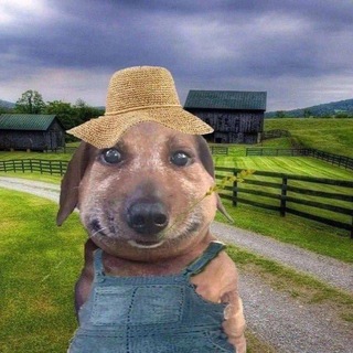 Telegram profile photo for Ферма