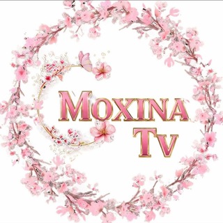 Telegram profile photo for Moxina Tv
