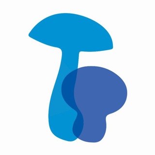 Telegram profile photo for Hongos de Argentina 🍄🇦🇷
