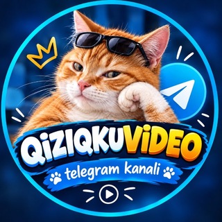 Telegram profile photo for Qiziqkuvideo