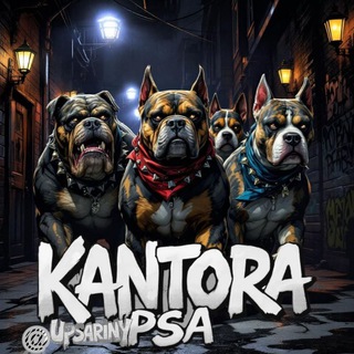 Telegram profile photo for КАНТОРА ИЩЕТ