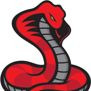 Telegram group profile photo for SnakeChat REALONE