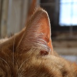 Telegram profile photo for Миллион причин сказать