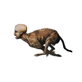 Telegram group profile photo for Чат Собачьего сердца