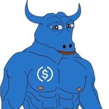 Telegram profile photo for usdc.bull CTO