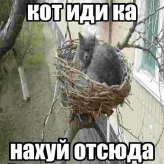 Telegram profile photo for мишаня666