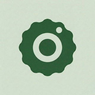 Telegram profile photo for OriginOS Utilities