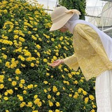 Telegram profile photo for 🌾 الفردوس غايتي 🌾