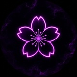 Telegram profile photo for BLOSSOM SOLANA SCANNER