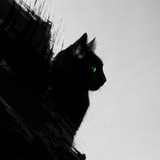 Telegram profile photo for Котики или смерть