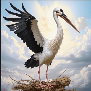 Telegram profile photo for Журавлиные Vести