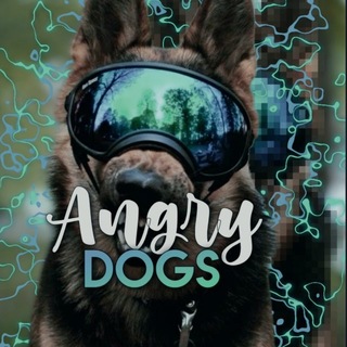 Telegram profile photo for Ꭺɴɢʀʏ.Ꭰᴏɢs ᵇᶫᵒᵒᵈ