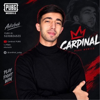 Telegram profile photo for Cardinal ARENDA