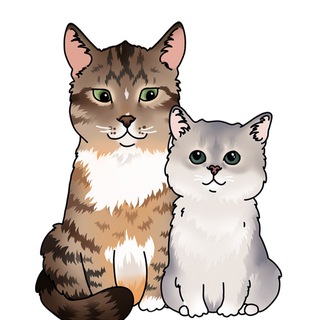 Telegram profile photo for Batonthecat