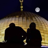 Telegram profile photo for نورُ البلادِ 🇵🇸
