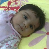 Telegram profile photo for تجميعات إسلامية أبو موري الرخصه المهنيه