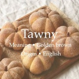 Telegram profile photo for tawny!