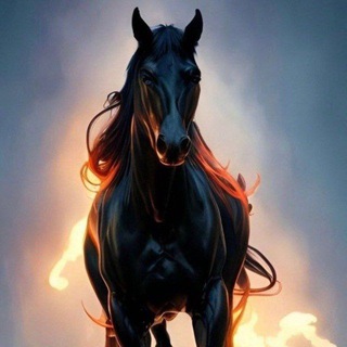 Telegram group profile photo for ملتقى الشعراء مجاراة شعريه شعر وقصيد شعرا اليمن ديوان الشعر والشعرا تعلم الشعر ديوان القوافي قصايد يمانيه ديون القصيد