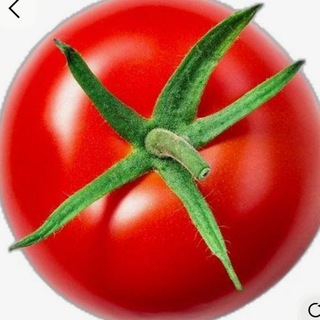 Telegram profile photo for по самые помидоры