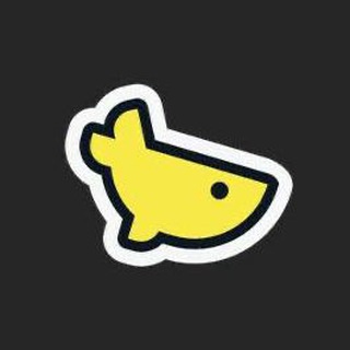 Telegram profile photo for KitAndyJR