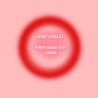 Telegram profile photo for Amy.chilli