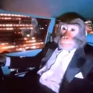 Telegram profile photo for Grizzlies Crypto trade calls