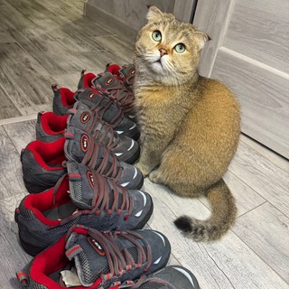 Telegram profile photo for дутый агент / наличие