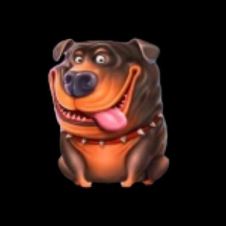 Telegram profile photo for NEFORLAB