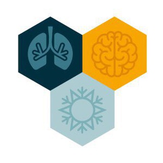 Telegram profile photo for Wim Hof Method