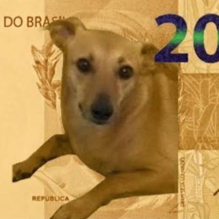 Telegram group profile photo for $REAU | Criptomoedas BR 🇧🇷 🐶
