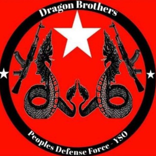 Telegram profile photo for Dragon Brothers People Defense Force - YSO